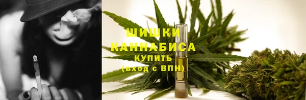 ГАЛЛЮЦИНОГЕННЫЕ ГРИБЫ Белоозёрский