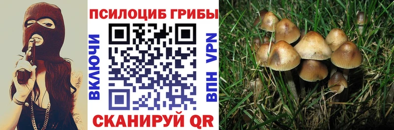 Галлюциногенные грибы прущие грибы Обь