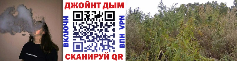 наркошоп Обь Марихуана SATIVA & INDICA